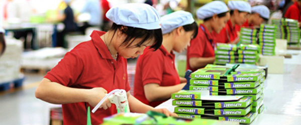 tea packaging box manufacturer_tea packaging box manufacturer