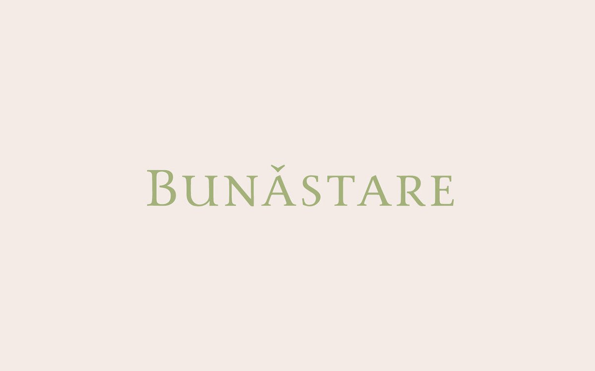 BUNĂSTARE美容品牌包装vi设计——有机化妆品品牌视觉设计，vi设计，视觉设计，化妆品品牌vi设计，化妆品vi设计，企业vi设计，品牌vi设计，美容品牌vi设计，vi品牌策划，深圳vi设计，左右格局